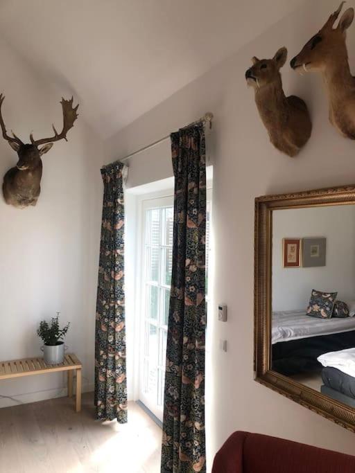 Cozy, Quiet Guest House Perfect For Business Or Pleasure Hillerød Buitenkant foto