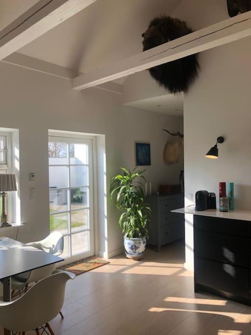 Cozy, Quiet Guest House Perfect For Business Or Pleasure Hillerød Buitenkant foto