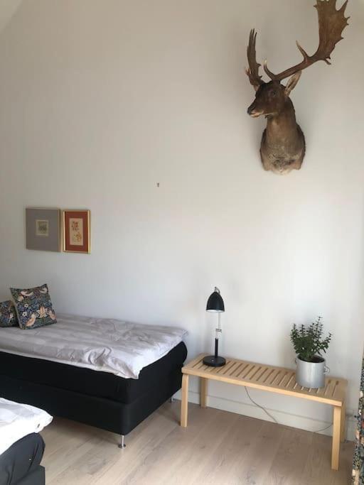 Cozy, Quiet Guest House Perfect For Business Or Pleasure Hillerød Buitenkant foto