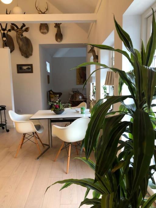 Cozy, Quiet Guest House Perfect For Business Or Pleasure Hillerød Buitenkant foto
