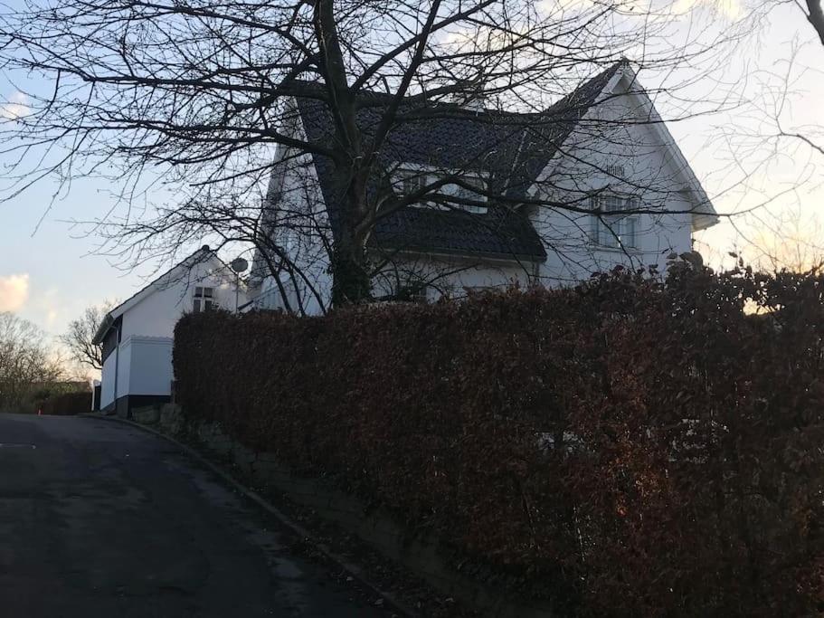 Cozy, Quiet Guest House Perfect For Business Or Pleasure Hillerød Buitenkant foto