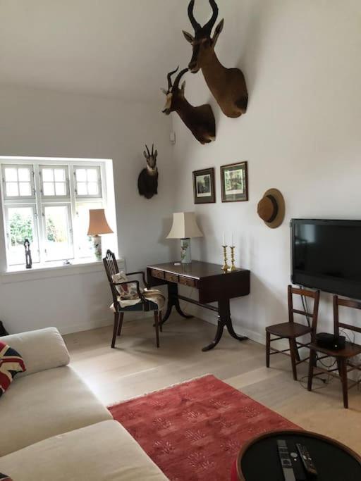 Cozy, Quiet Guest House Perfect For Business Or Pleasure Hillerød Buitenkant foto
